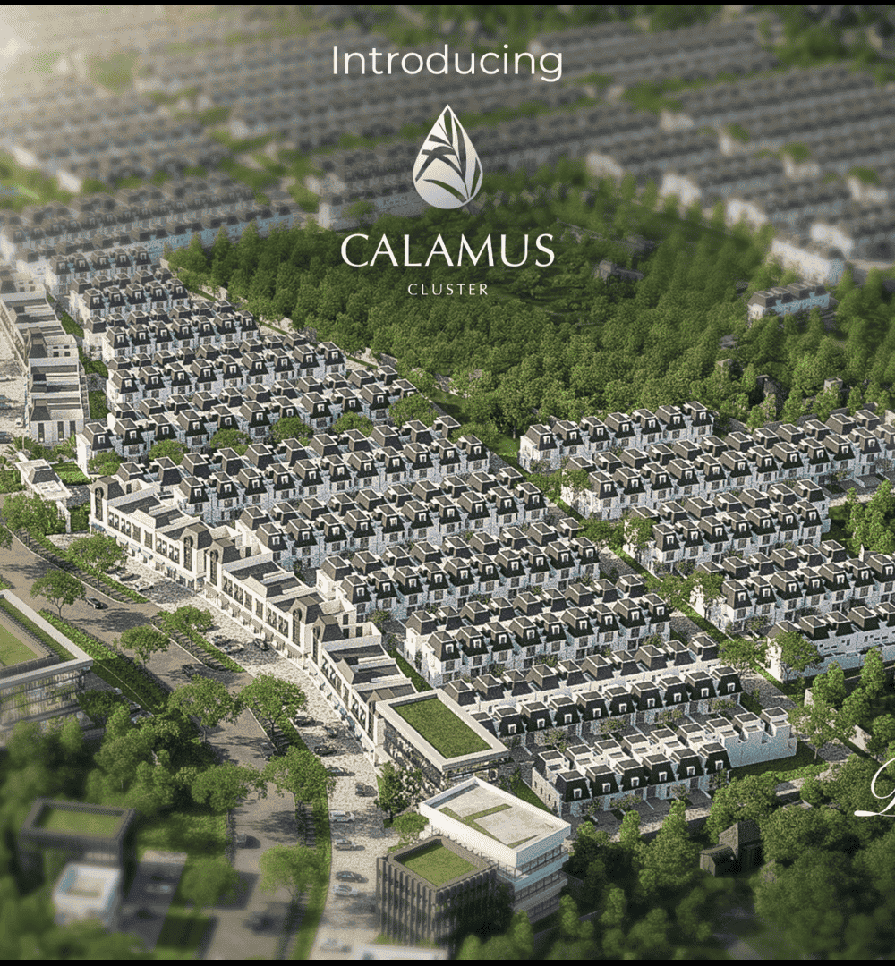 Calamus