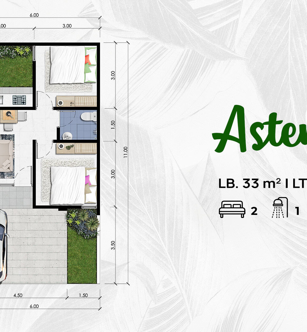 Tipe Asteria